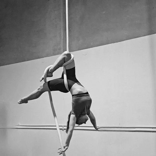 Carly Wilson, photo 3
